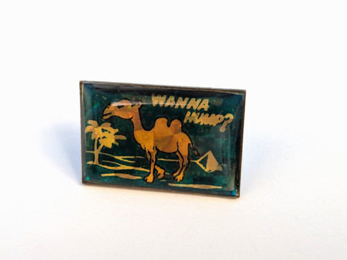 Wanna hump camel sayings - wanna,
