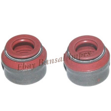 Véritable Royal Enfield 2