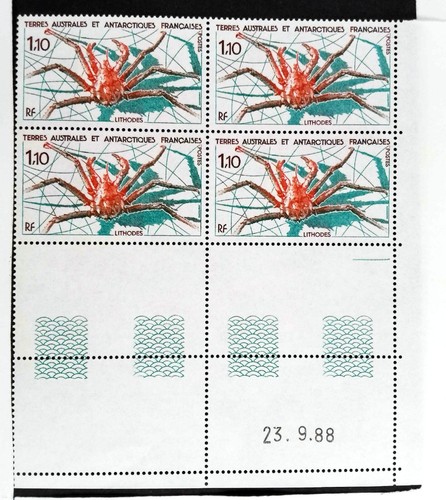 Taaf france 1989 - 1989, flora
