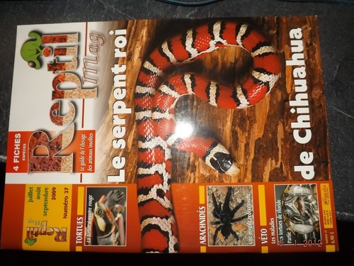 Revue reptil mag 37 - revue,