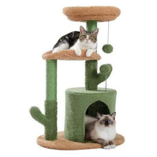 Arbre chat cactus - chat,