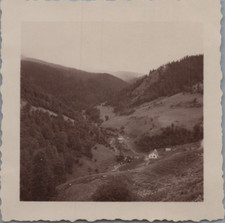 Monténégro, Murino, Maisons