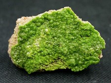 PYROMORPHITE - MECHERNICH, ALLEMAGNE - 3,3 x 2,3 cm - 13 g