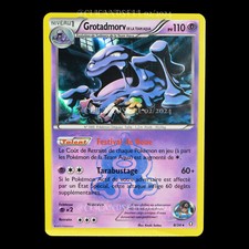 carte Pokemon Grotadmorv Team
