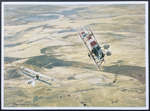 Jean navarre nieuport type - type, xi