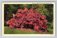 Mobile AL-Alabama, Azalai Bush