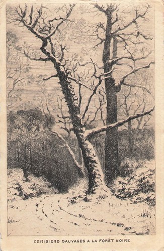 Illustree eau forte - cp,
