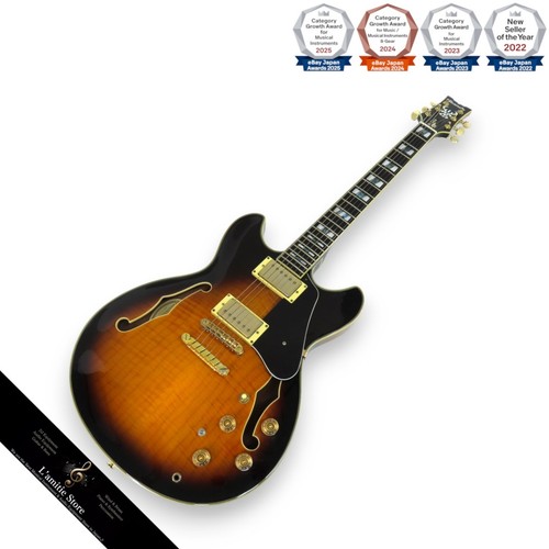 Guitare électrique ibanez - électrique,