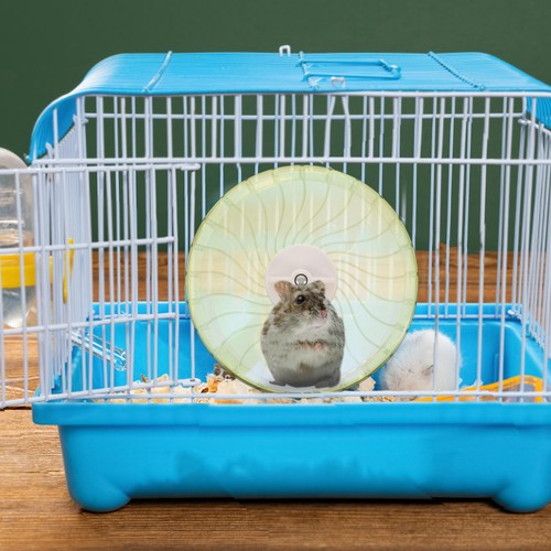 Roue exercice pour hamster - roue,