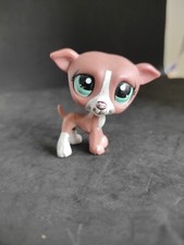 Lps00679 My Littlest Petshop LPs chien Levrier 1585 Whippet dog Greyhound
