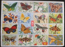 Ancienne planches scolaire