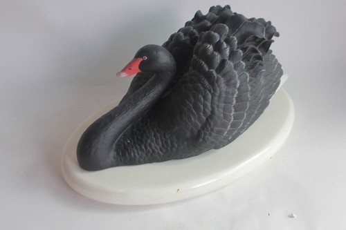Cygne noir porcelaine - , biscuit
