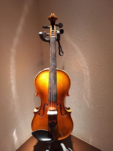 Karl hofner violin - hofner,