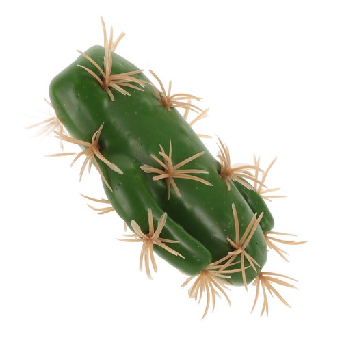 Arrangement cactus - de,
