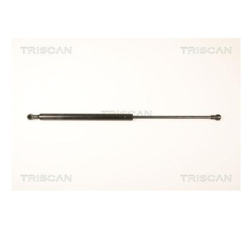 Triscan 8710 25245 ressort - 25245,