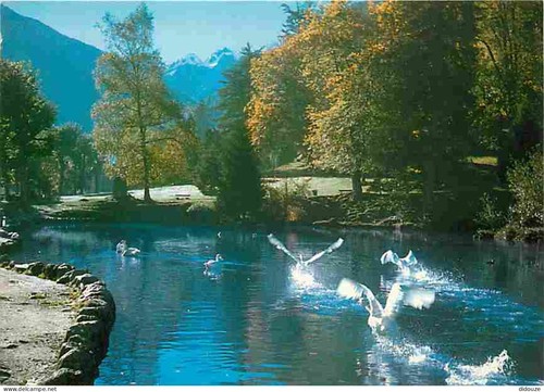 Carte postale luchon - -,