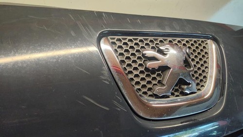Pare choc avant peugeot 307 - choc,