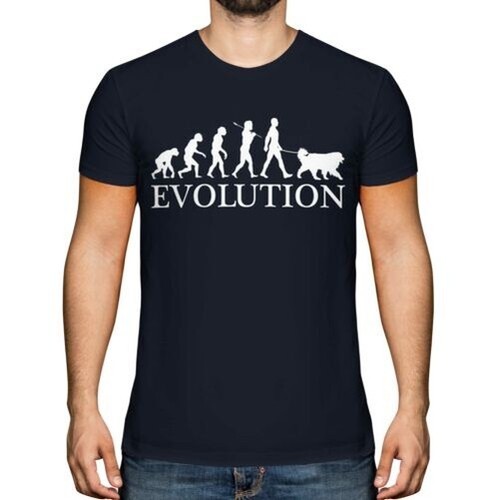 Bouvier bernois evolution - bouvier,