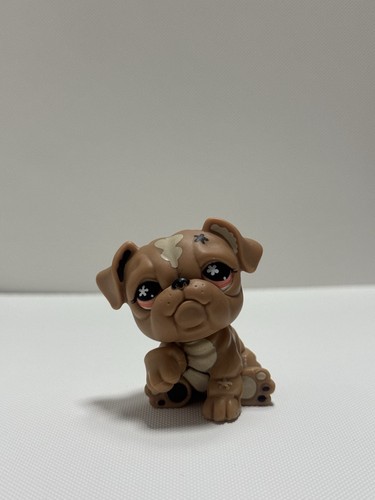Lps littlest pet - littlest, #607
