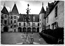 41 CHAUMONT SUR LOIRE - le chateau, la cour d'honneur