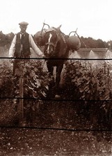 BISSEUIL FAMILLE DE VIGNERONS
