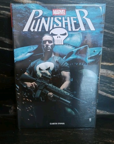Punisher par garth - punisher,
