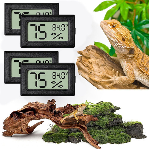 Reptile thermometer and - reptile,