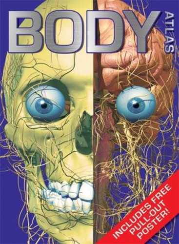 Body atlas une carte - body,