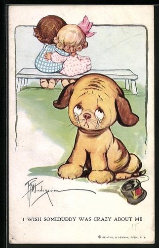 Carte postale chien - , solitaire