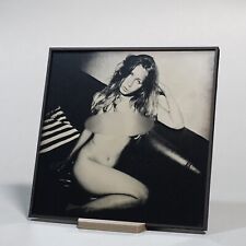 Original Nude Ambrotype Photography - Tintype French Girl Wet Plate Collodion 10