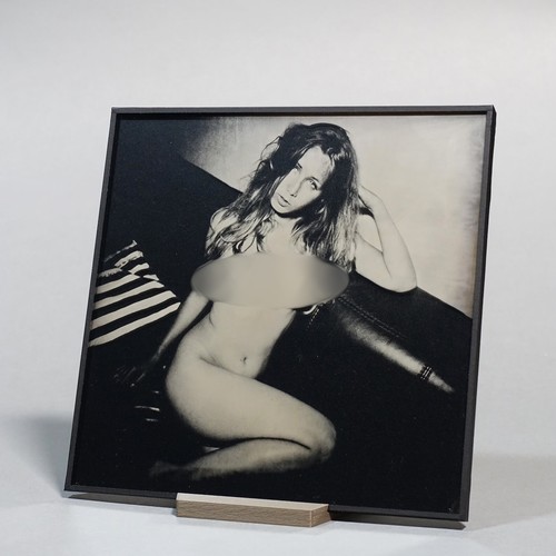Original nude ambrotype - nude,
