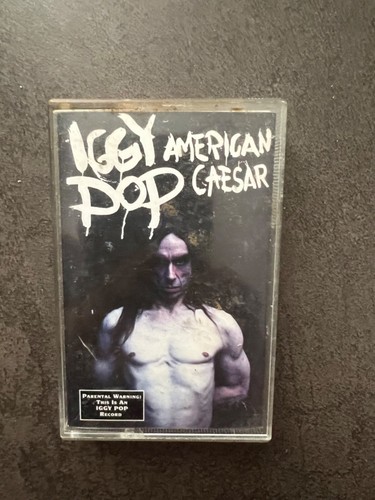 Iggy pop american - pop,