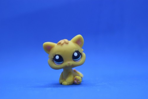 Authentic lps 1053 - baby, cat