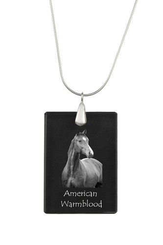 Cheval sang américain - de,
