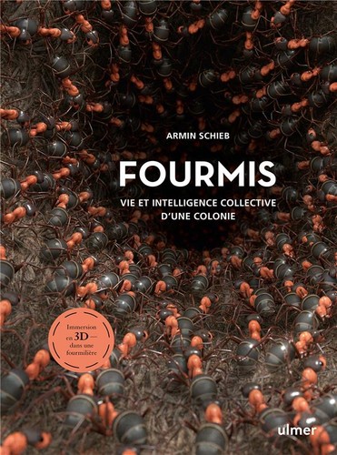 Fourmis vie et intelligence - -,