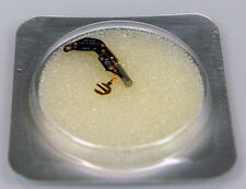 Module Circuit Electronique