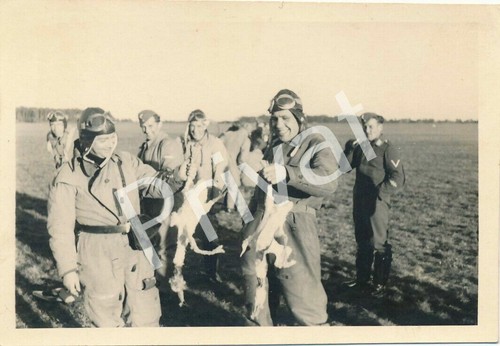 Photo wkii pilote wehrmacht - pilote,