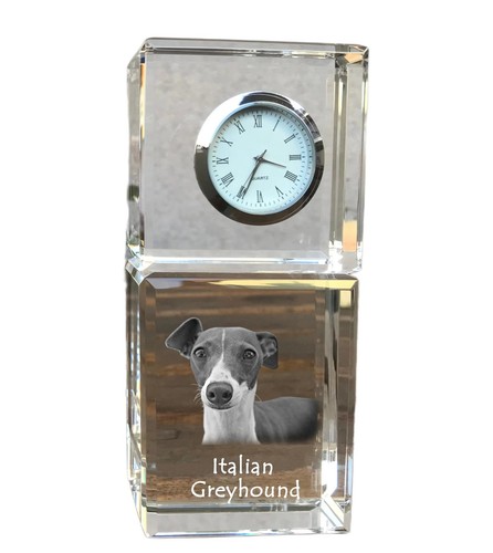 Italien italian lévrier - italien,,