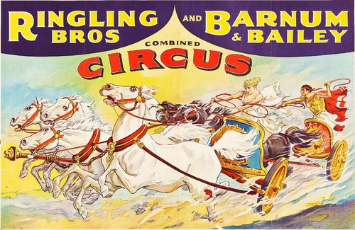 Cirque ringling bros barnum - cirque,
