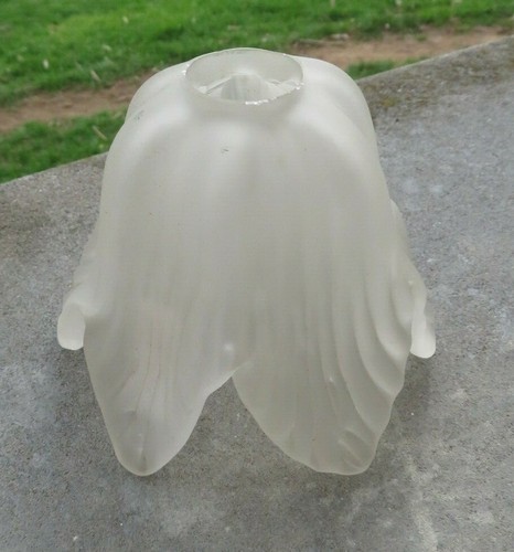 Tulipe fleur verre - tulipe,