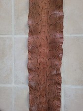 Belle Peau De Serpent 2,65m