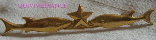 In22605 insigne brevet - in22605,