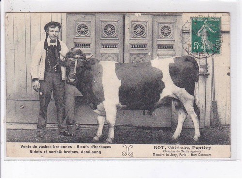 Pontivy vente vaches - pontivy:,