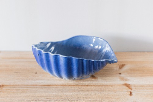 Plat coquillage bleu bci - coquillage,