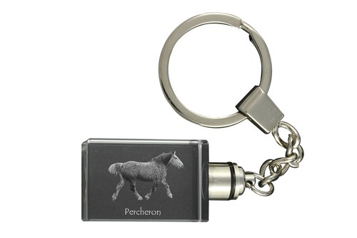 Percheron porte clés - percheron, en