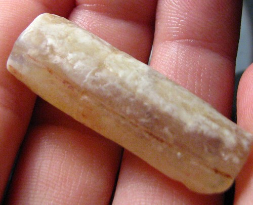 Fossile pipe belemnite - o&co,