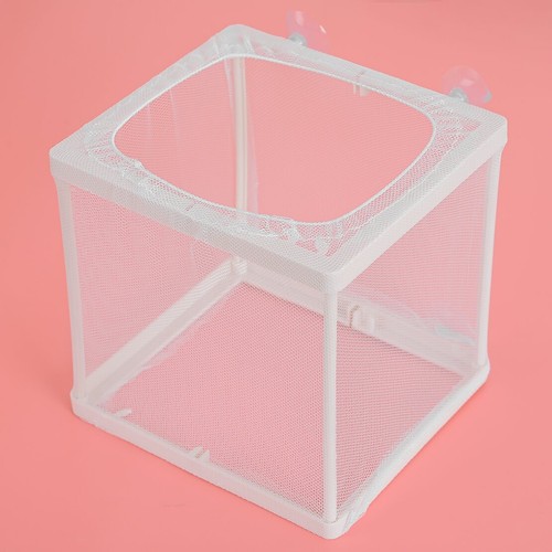Fish tank aquarium guppy - fish,