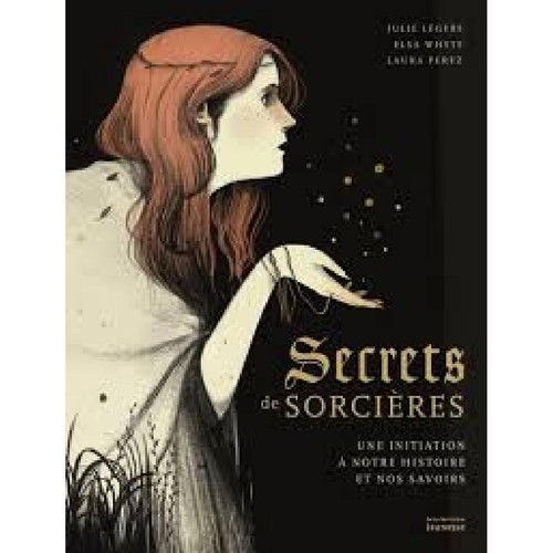 Livre secrets sorcieres - livre,