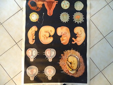 Affiche scolaire pedagogique -