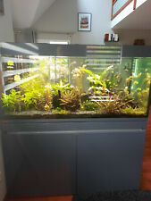 Aquarium 400 l sur meuble et avec équipements complet